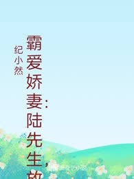 霸爱娇妻：陆先生，放肆宠
