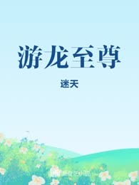 游龙至尊
