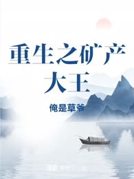 重生之矿产大王

