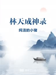 林天成神录
