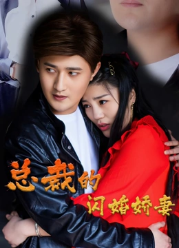 总裁的闪婚娇妻