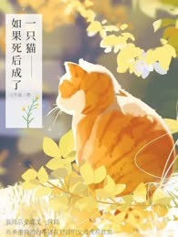 如果死后成了一只猫