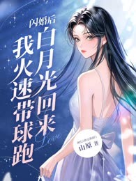闪婚后，白月光回来我火速带球跑
