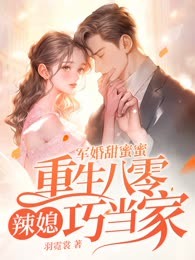 军婚甜蜜蜜，重生八零辣媳巧当家
