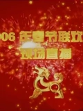 2006央视春晚}