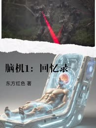 脑机之回忆录