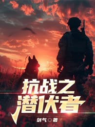 抗战之潜伏者