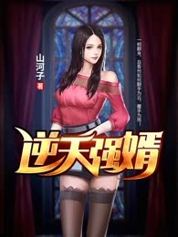 逆天强婿