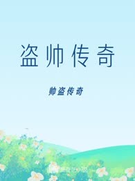 盗帅传奇
