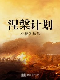 涅槃计划