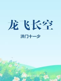 龙飞长空