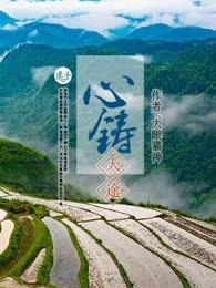 心铸天途