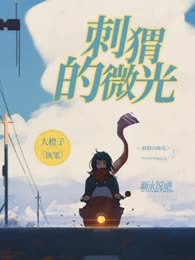 刺猬的微光