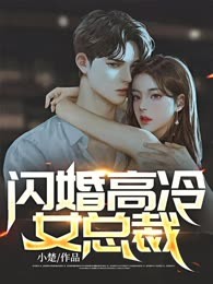 闪婚高冷女总裁