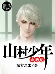 山村少年奇遇记