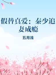 假替真爱：秦少追妻成瘾