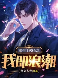 重生1986之我即浪潮