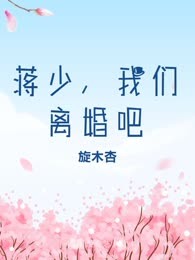 蒋少，我们离婚吧