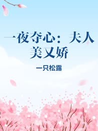 一夜夺心：夫人美又娇