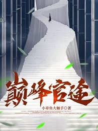 巅峰官途
