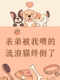 表弟被我喂的流浪猫绊倒了
