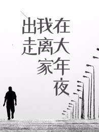 在大年夜我离家出走