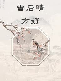 雪后晴方好