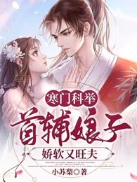 寒门科举：首辅娘子娇软又旺夫