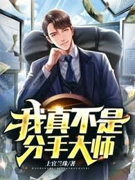 我真不是分手大师