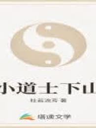 小道士下山