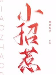 小招惹