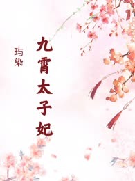 九霄太子妃