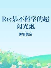 Re:某不科学的超闪光炮