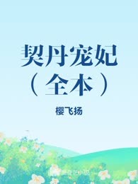 契丹宠妃（全本）