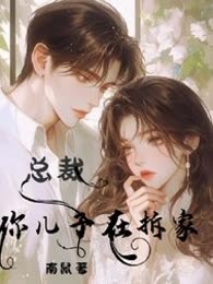 总裁:你儿子在拆家!