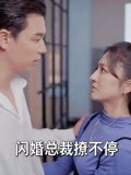 闪婚总裁撩不停封面图